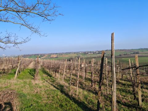 FRAZIONE CAMPORELLO 5 - San Damiano Al Colle