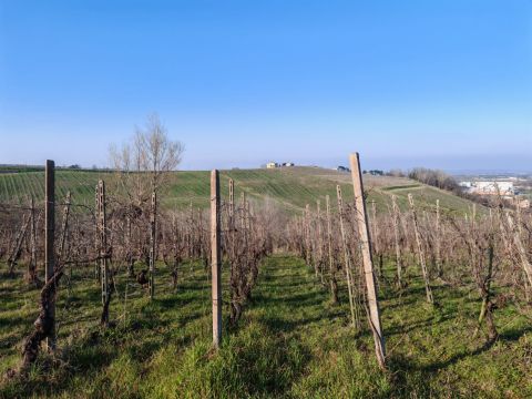 FRAZIONE CAMPORELLO 5 - San Damiano Al Colle