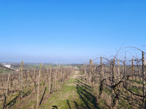 FRAZIONE CAMPORELLO 5 - San Damiano Al Colle