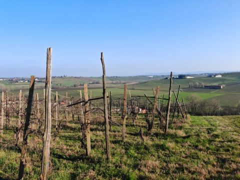 FRAZIONE CAMPORELLO 5 - San Damiano Al Colle
