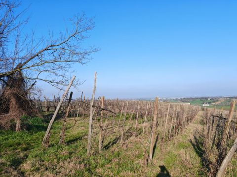 FRAZIONE CAMPORELLO 5 - San Damiano Al Colle