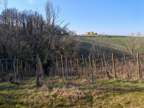 FRAZIONE CAMPORELLO 5 - San Damiano Al Colle