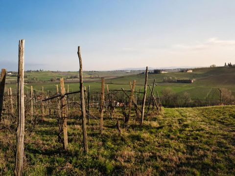 FRAZIONE CAMPORELLO 5 - San Damiano Al Colle