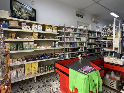 Via Trieste, 37 - Alba Adriatica