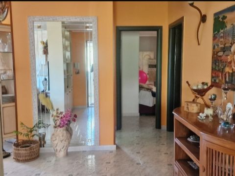 Via degli Oleandri, 2 - Crotone