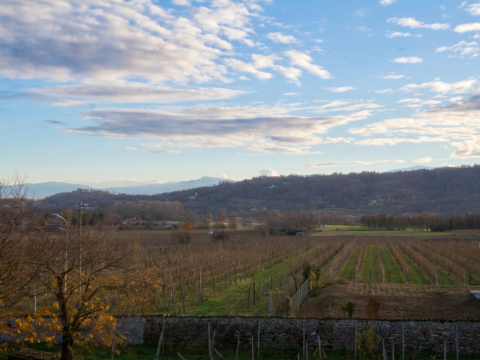 Via Pascarenghi, 37 - Frossasco