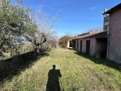 Contrada Feudo da Sole, 23 - Basciano