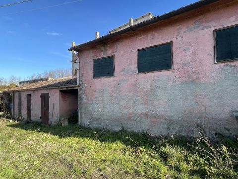 Contrada Feudo da Sole, 23 - Basciano