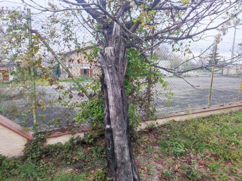 via G. D'Annunzio, 4 - Catignano