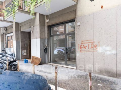 Via Ettore Bertolè Viale, 25