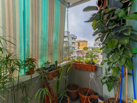 Via dell'Annunciazione, 4 - Gravina In Puglia