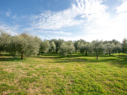 Via del Laghetto, 26b - Fiano Romano