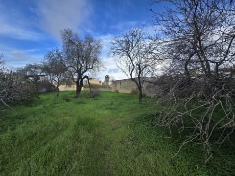 Via Ludovico Ariosto - Spongano