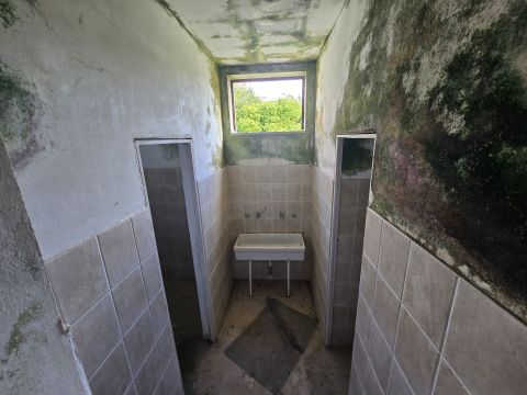 Via Ludovico Ariosto - Spongano