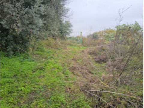 Farri Superiore, Grotteria RC, Italia - Grotteria