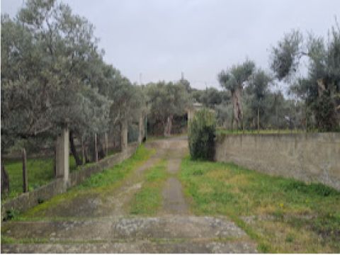 Farri Superiore, Grotteria RC, Italia - Grotteria