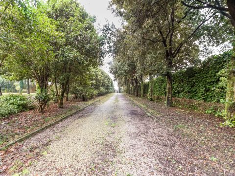 Via Boiago, 25 - Quinto Di Treviso