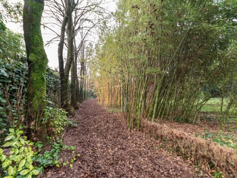 Via Boiago, 25 - Quinto Di Treviso