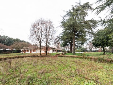 Via Boiago, 25 - Quinto Di Treviso