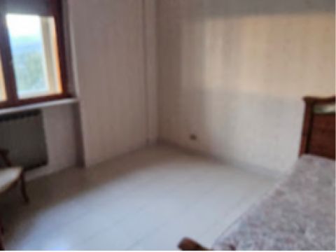 Viale degli Ulivi - Caulonia