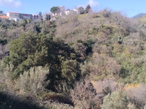 Via Ettore Vitale - Catanzaro