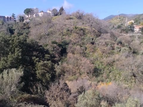 Via Ettore Vitale - Catanzaro