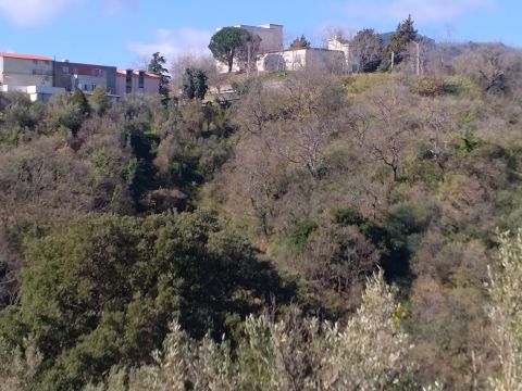 Via Ettore Vitale - Catanzaro