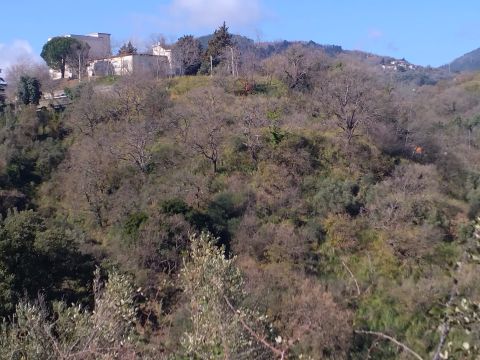 Via Ettore Vitale - Catanzaro