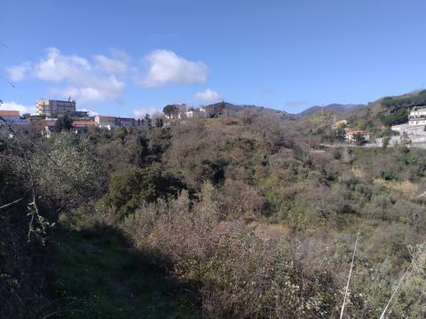 Via Ettore Vitale - Catanzaro