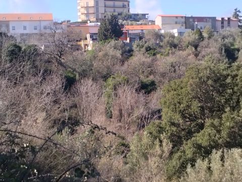 Via Ettore Vitale - Catanzaro