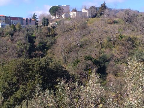 Via Ettore Vitale - Catanzaro