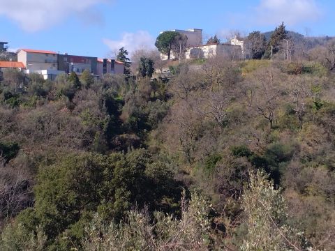 Via Ettore Vitale - Catanzaro