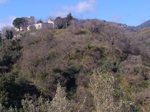 Via Ettore Vitale - Catanzaro