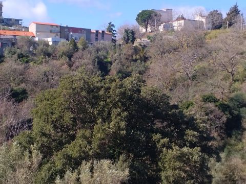 Via Ettore Vitale - Catanzaro