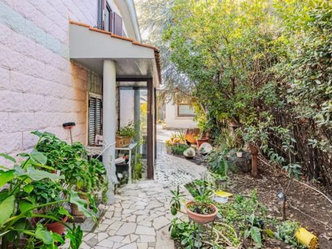 Strada Comunale Marrone - Capurso