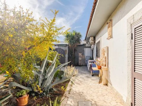 Strada Comunale Marrone - Capurso