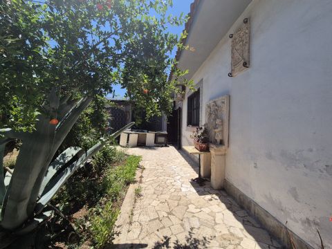 Strada Comunale Marrone - Capurso