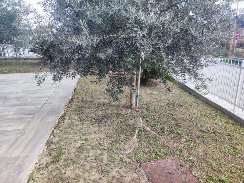 Via del Villino - Alanno