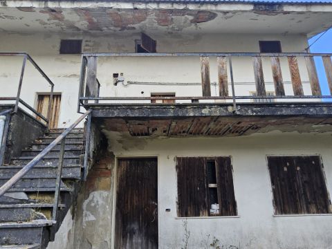 Ninfo, VV, Italia - Serra San Bruno