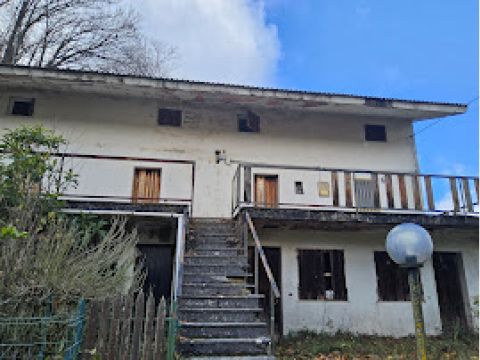 Ninfo, VV, Italia - Serra San Bruno