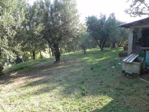 Frazione Montale, 136 - Arcevia