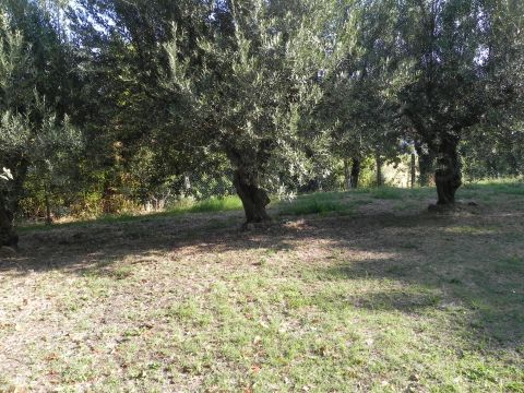 Frazione Montale, 136 - Arcevia