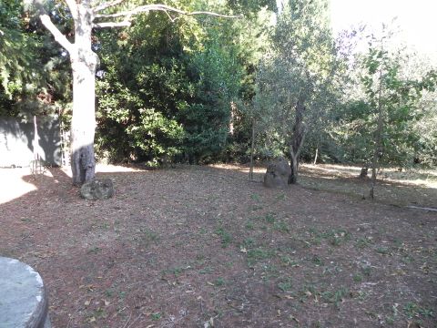 Frazione Montale, 136 - Arcevia