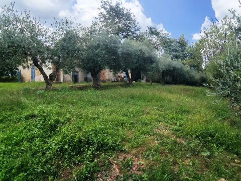 Frazione Montale, 136 - Arcevia