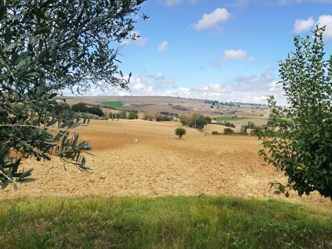 Frazione Montale, 136 - Arcevia