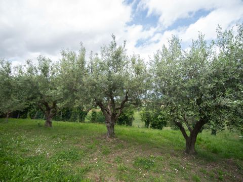 Frazione Montale, 136 - Arcevia