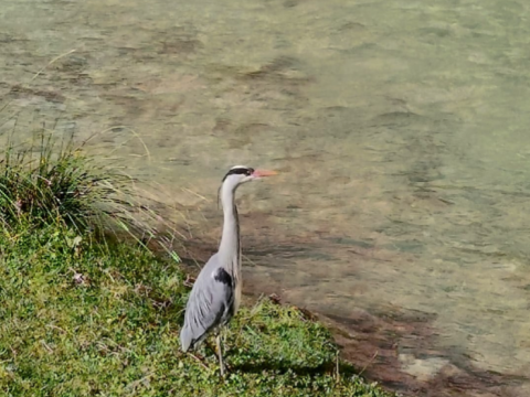 Piazza Sant’Antonio n.10 - Piobbico