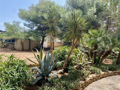 CONTRADA TRADIMENTO SNC - Sciacca