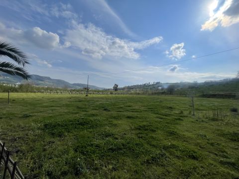 Contrada Salella - San Cipriano Picentino