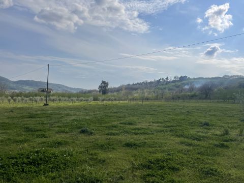 Contrada Salella - San Cipriano Picentino